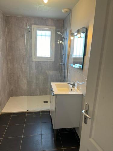 a bathroom with a shower and a sink and a mirror at Le Pasquier in Annoire