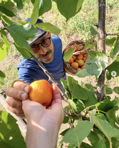 a man is holding a fruit in a tree at Agriturismo Il Riccio in Monticchio