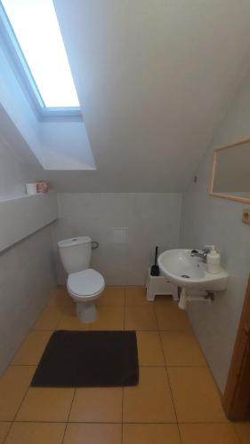 a bathroom with a toilet and a sink at Penzion Staré Sedlo in Bor