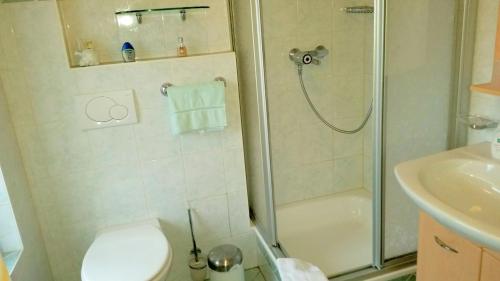 e bagno con doccia, servizi igienici e lavandino. di Ferienhaus Riedl a Klingenthal