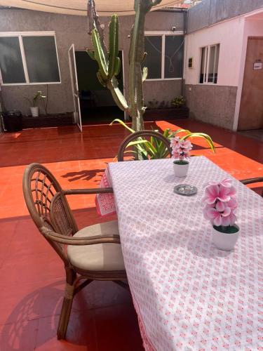 a table with a white table cloth and plants on it at Hotel y Restaurant ISIDORA in Arica