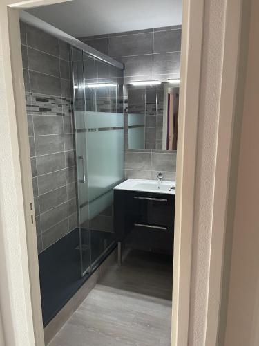 une salle de bain avec un lavabo et une douche en verre dans l'établissement Location Logement T3 à Vignec dans les Pyrénées, à Vignec