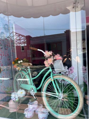 a green bike with flowers in a display window at Hotel y Restaurant ISIDORA in Arica