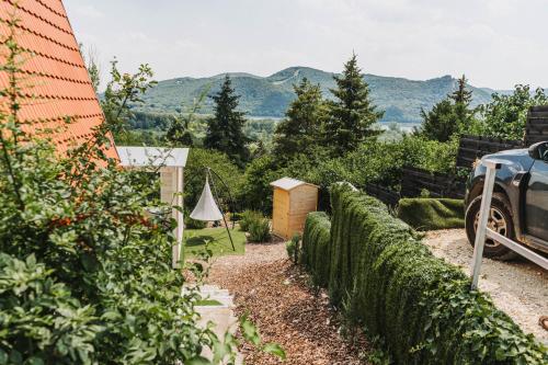 a garden with a hedge and a fence with mountains in the background at Ringat-Lak Panoramic hideout just for 2 in Nagymaros