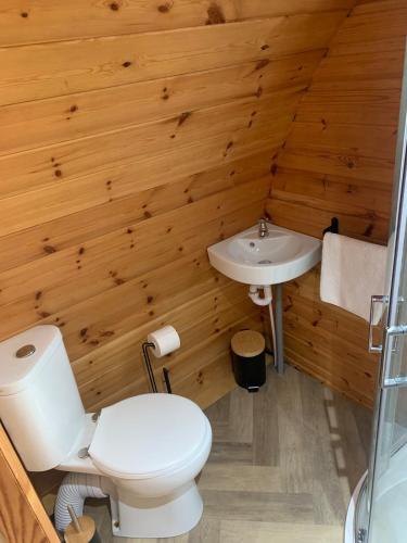 a bathroom with a toilet and a sink at Smugglers Cove in Widows Row