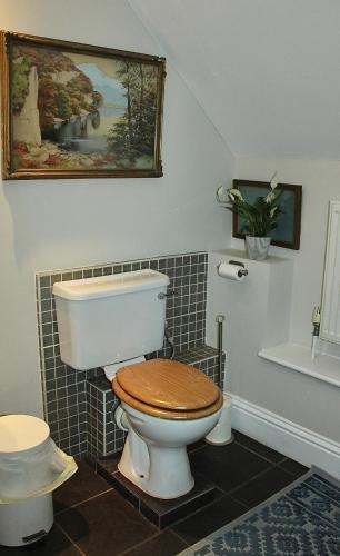 a bathroom with a toilet with a wooden seat at Bessie May Cottage in Beaulieu