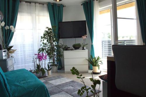 d'un salon avec des plantes en pot et une télévision à écran plat. dans l'établissement A l'Orée du Bois, à Audenge