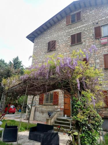 a house with purple flowers on the front of it at Lavecchiaconcia -de oude leerlooilerij Casa Vacanze Zommer Vakantiehuis in Cagli