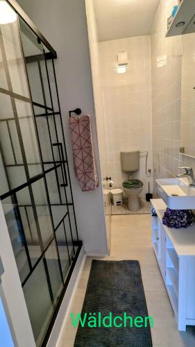 Un baño con ducha, inodoro y lavabo. en Wäldchen, en Eilenburg