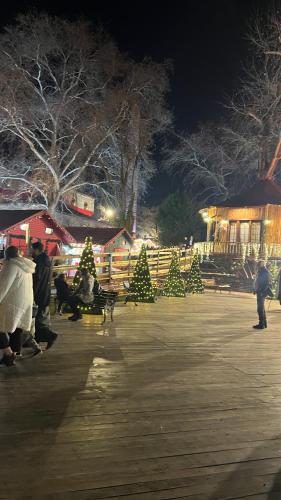 Trikala City Apartment