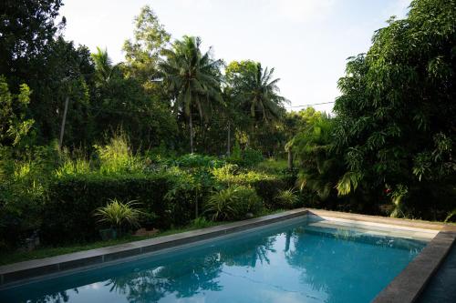 a swimming pool in front of a garden with trees at Shan Mango Homestay in Sigiriya