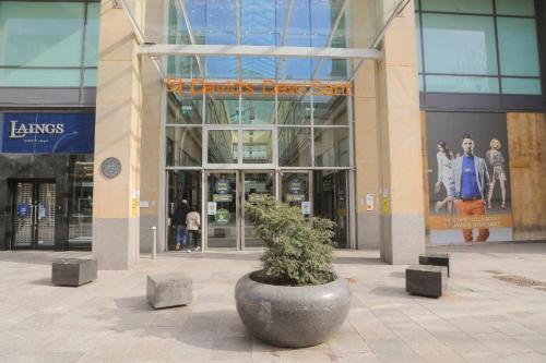 a large pot with a tree in front of a building at City Centre Flat within the Hayes Complex in Cardiff