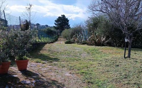 Κήπος έξω από το Villa Cresta, private villa with pool