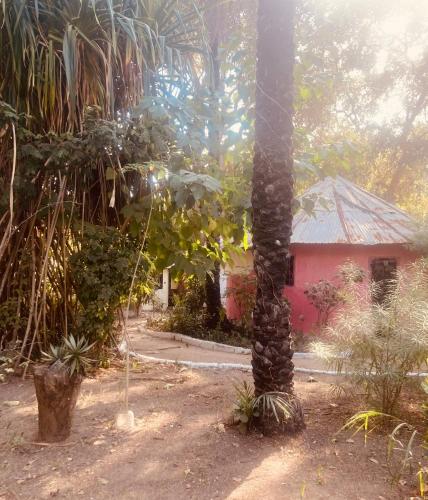 a palm tree in front of a red building at Auberge Culturelle Les Belles Etoiles in Abene