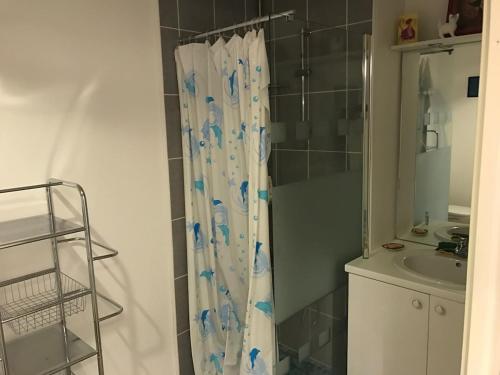 une salle de bain avec un rideau de douche et un lavabo dans l'établissement T2 la teste centre ville bassin d Arcachon, à La Teste-de-Buch