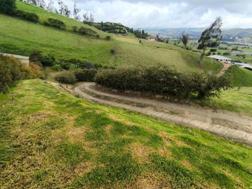 a dirt road on a grassy hill with trees at Glamping con jacuzzi La Terraza del cielo in Chocontá