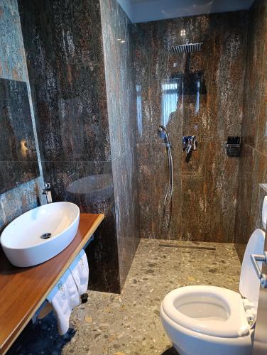 a bathroom with a sink and a toilet and a shower at Toka Hotel Restaurant in Pogradec