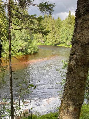 a view of a river through a forest at Kleines Haus in Schweden in Viksjö