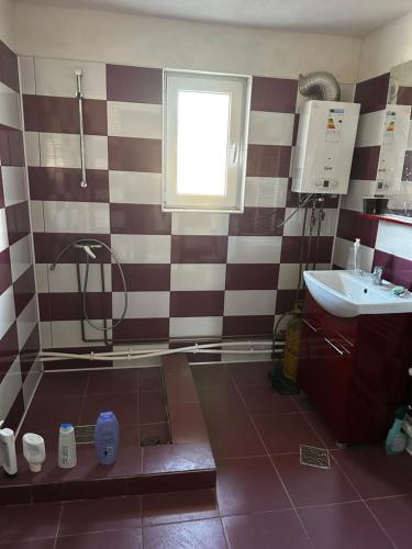 een badkamer met een wastafel en een raam bij Cabana de la Sat in Iablaniţa