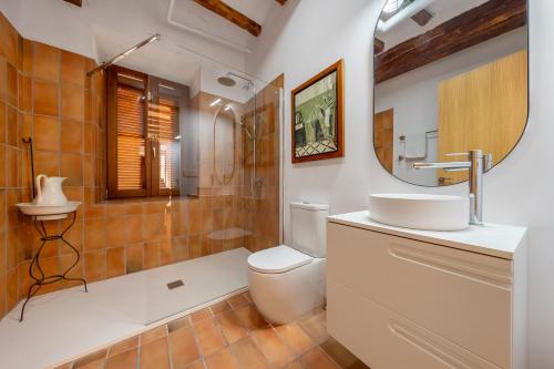 a bathroom with a toilet and a sink and a mirror at La Quadra Rural Housing in Sant Carles de la Ràpita