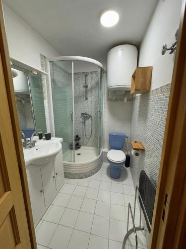 ein Badezimmer mit Dusche, Toilette und Waschbecken in der Unterkunft Studio cosy à 5 min à pied des pistes in La Salle Les Alpes