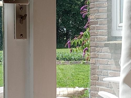 a door with a view of a garden through a window at In het mooie Friesland Vele bezienswaardigheden in Hantum