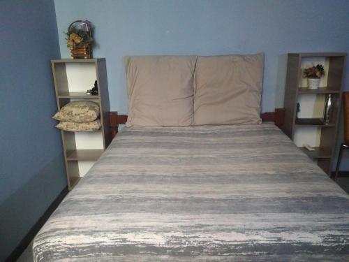 1 cama en un dormitorio con 2 estanterías en 50 stiemens street, en Johannesburgo
