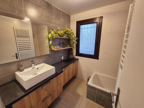 une salle de bain avec un lavabo et un miroir dans l'établissement Cabana & Maison aux pieds du Semnoz, à Quintal