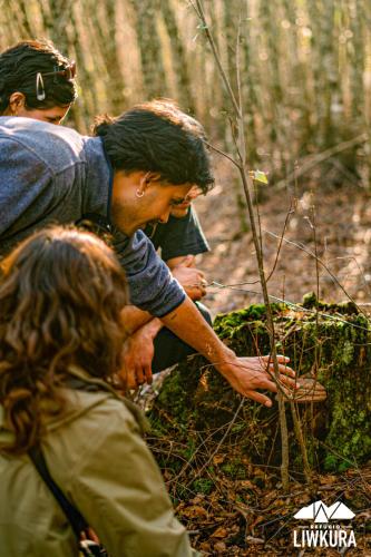 Hosté ubytování EcoDOMO REFUGIO LIWKURA