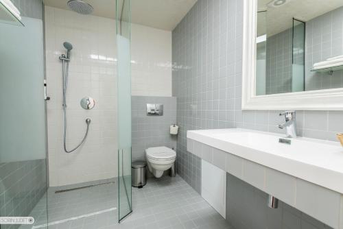 La salle de bains est pourvue d'une douche, de toilettes et d'un lavabo. dans l'établissement Pensiunea Terra, à Bistriţa
