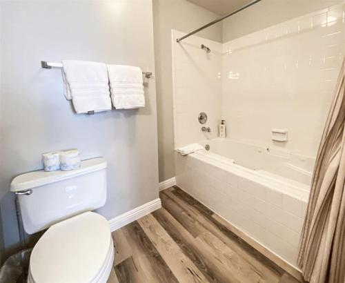 a bathroom with a toilet and a bath tub at 14-Plex 218 in Garden City