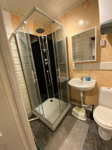 a bathroom with a shower and a sink at Kleines Haus in Schweden in Viksjö