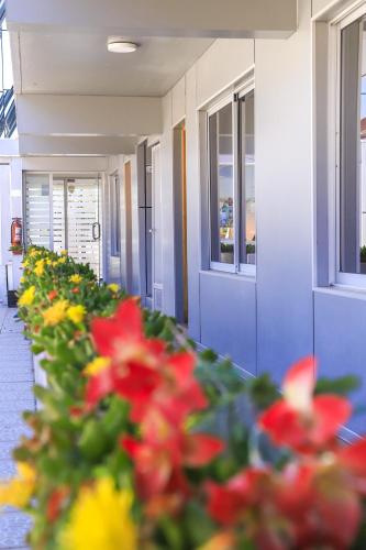 a row of flowers in a hallway of a building at Vitrali Suite in Copiapó