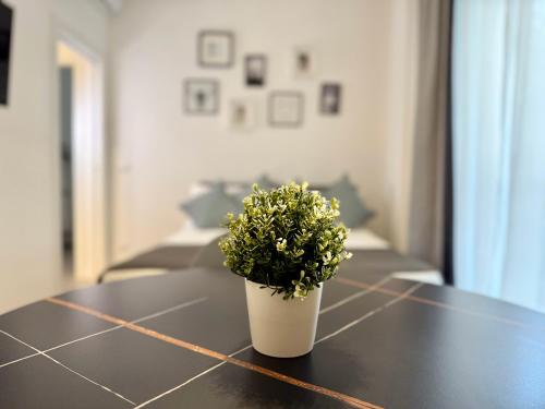 LAUS ANDREA DA BARI Luxury Design Apartment 1 photo 41