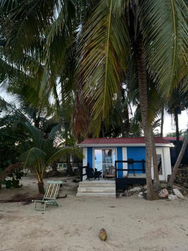 a blue house on the beach with a palm tree at Dove Escapes - beach front One bdrm Cabana in Riversdale