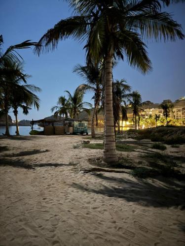 a group of palm trees on a sandy beach at Muscat bay Zaha two bedroom apartment in Bandar Jişşah