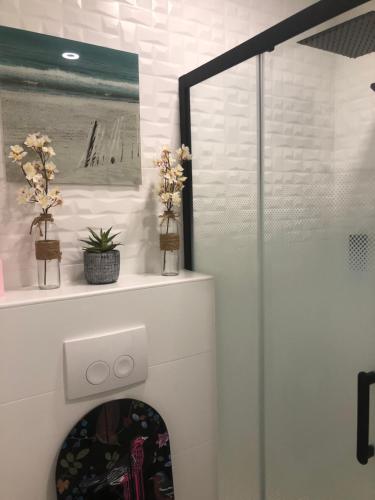 La salle de bains est pourvue d'une douche et de toilettes fleuries. dans l'établissement La montagnarde, à Huelgoat