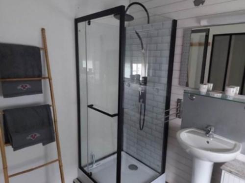 une salle de bain avec douche et lavabo dans l'établissement Appartement Arcachon, à Arcachon