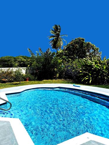 a large blue swimming pool with a palm tree in the background at Villa Hanna in Bon Accord