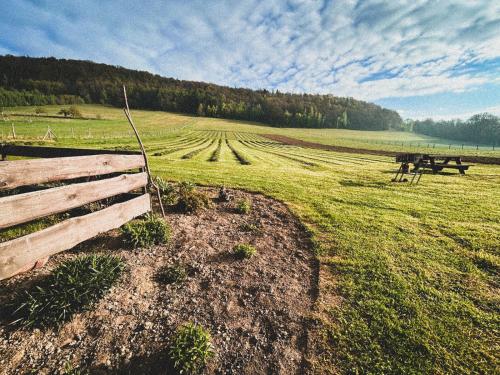 a field with a wooden fence and a picnic table at Lawendowy Raj in Pilchowice