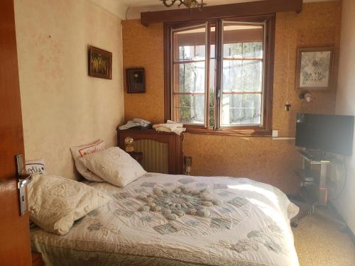 a bedroom with a bed and a window and a television at Chambre au calme sur les collines in Nice