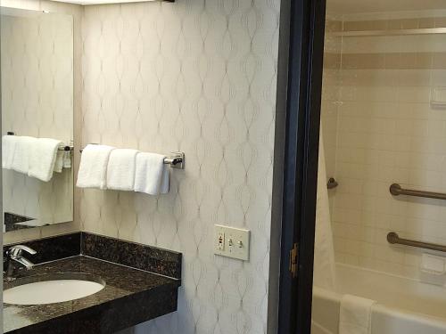 a bathroom with a sink and a mirror and a shower at Heritage Inn & Suites The Woodlands, Trademark by Wyndham in The Woodlands
