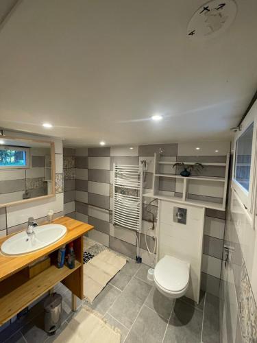 une salle de bain avec un lavabo et des toilettes dans l'établissement Appartement T2, à Saint-Lys