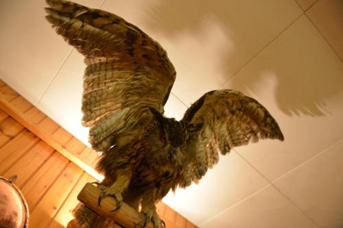 a statue of an owl hanging from a ceiling at Hotel Gufo in Bormio