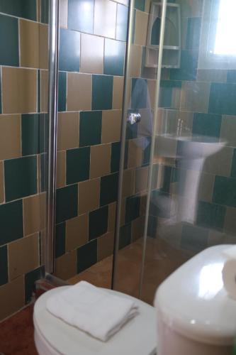 a bathroom with a toilet and a shower at El Arca de Pachue in Punta Chame