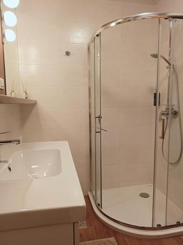 a bathroom with a shower and a sink at Apartment Paradise in Moravske Toplice