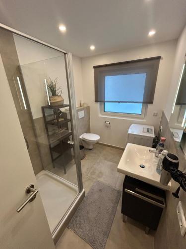 a bathroom with a shower and a sink and a toilet at WALLENSTAY Apartment in Altdorf bei Nuernberg