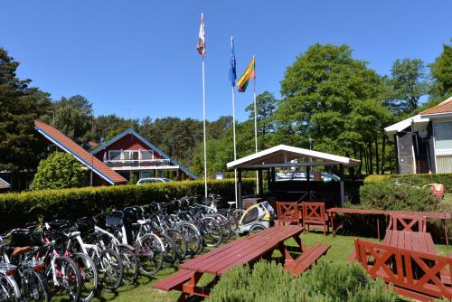 a bunch of bikes parked next to a table and benches at Vila Baldininkas in Neringa