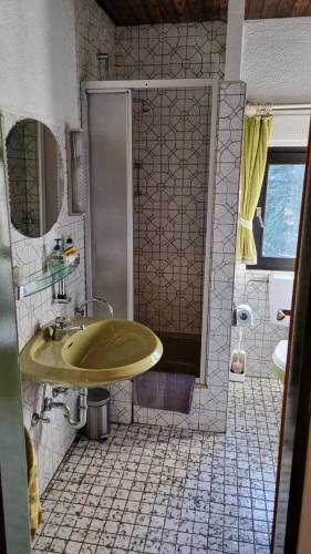 a bathroom with a green sink and a shower at Elfi's Appartments in Leichlingen