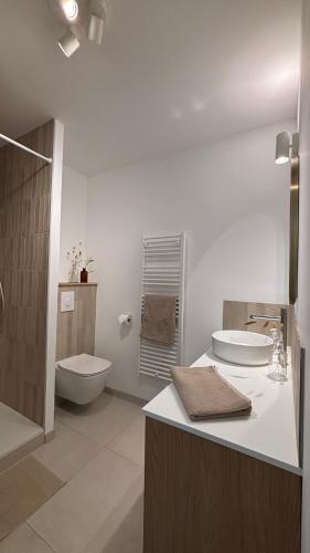 une salle de bain blanche avec des toilettes et un lavabo dans l'établissement Le Granier location, à Robion